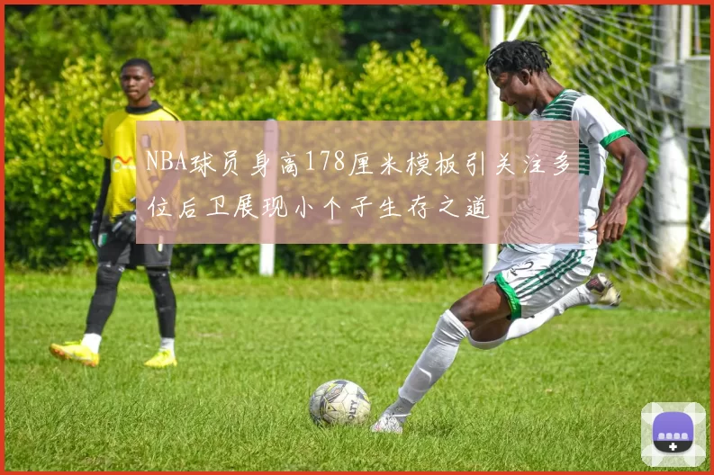 NBA球员身高178厘米模板引关注多位后卫展现小个子生存之道
