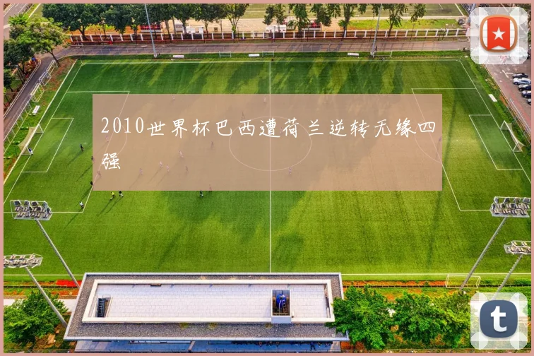 2010世界杯巴西遭荷兰逆转无缘四强